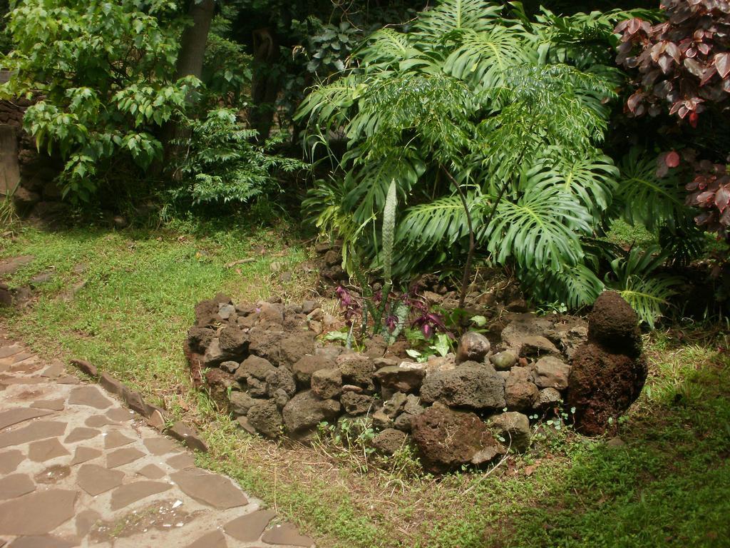 Cabanas Moenga Hanga Roa Exterior photo